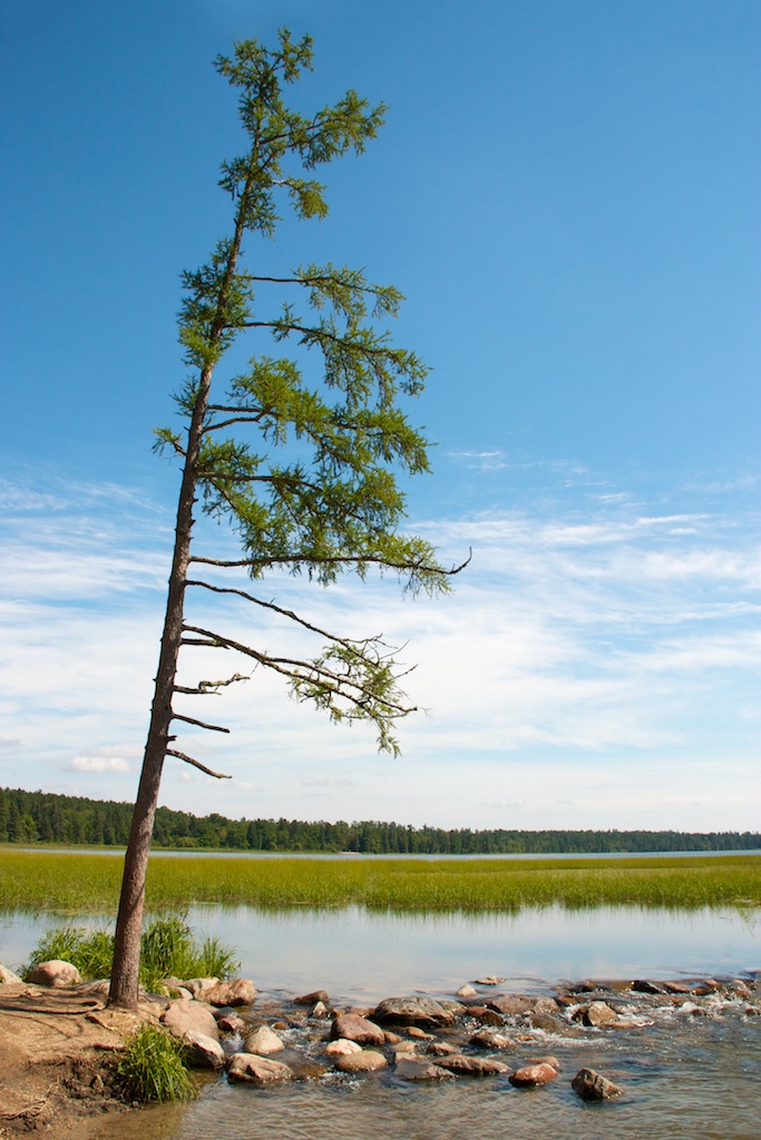 IMAGE: https://rebby.com/tmp/itasca2.jpg